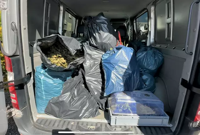 Sichergestellte Pflanzen und weiteres Equipment wurden in einen Transporter der Polizei geladen. | Foto: Polizei Köln