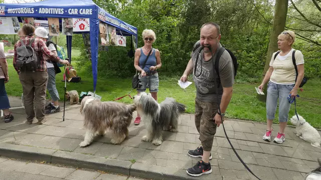2018 - So geht's auch... | Foto: Heinz Könen