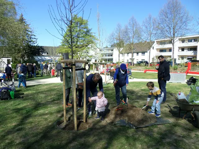 Ein Birnbaum wurde im Mehrgenerationen-Park gepflanzt. Foto: Obst- und Gartenbauverein Refrath e.V.