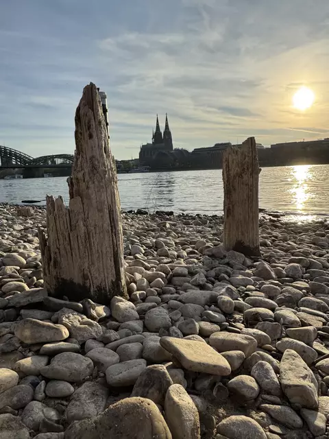 Der Rhein führt derzeit so wenig Wasser, dass Ruinen zum Vorschein kommen: Hier Pfeiler der „Patton-Brücke“, die im Sommer 1946 eröffnet wurde. Die feste Behelfsbrücke der Amerikaner befand sich von 1946-1951 auf Höhe der Bastei und dem Rheinpark in Deutz. | Foto: Alexander Büge