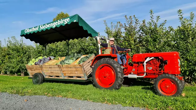 Franz Bellinghausen hilft auch mit 90 Jahren noch mit im Familienbetrieb. | Foto: Bellinghausen