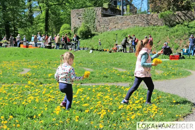 Foto: Karin Rechenberger