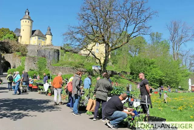 Foto: Karin Rechenberger