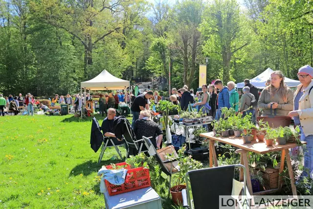 Foto: Karin Rechenberger