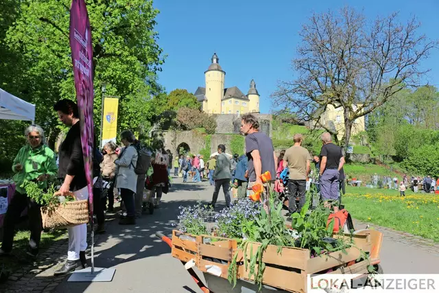 Foto: Karin Rechenberger