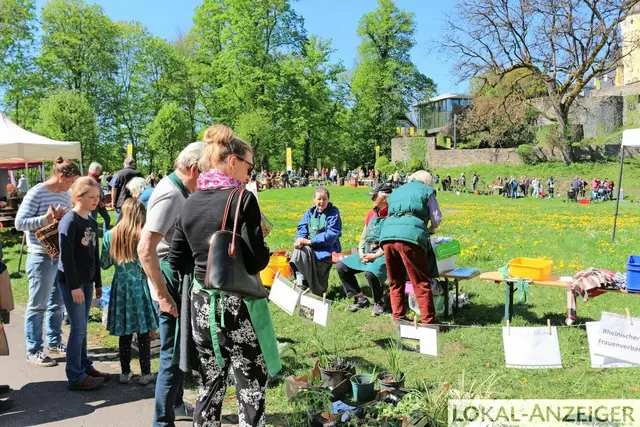 Foto: Karin Rechenberger