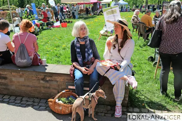 Foto: Karin Rechenberger