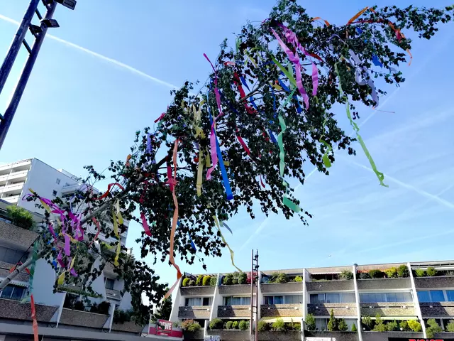 Fertig geschmückt konnte der Maibaum aufgestellt werden.  | Foto: Heike Löhrer