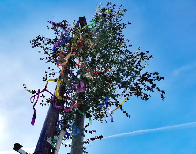 Der Maibaum steht. Beifall gab es für die Unterstützung der helfenden Hände.  | Foto: Heike Löhrer