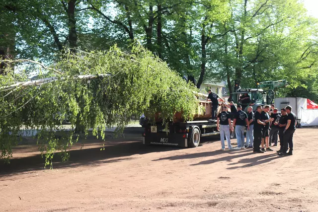 Der Maibaum hat den Marktplatz erreicht. 
Lagebesprechung bei den Junggesellen. | Foto: Kaiser