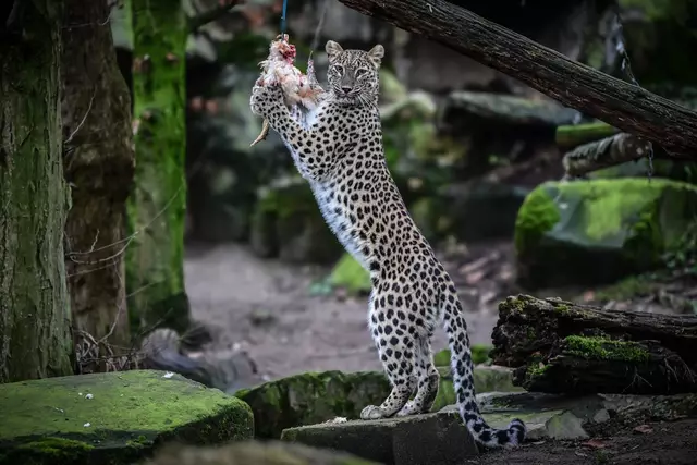 Foto: Marcel Vogelfänger