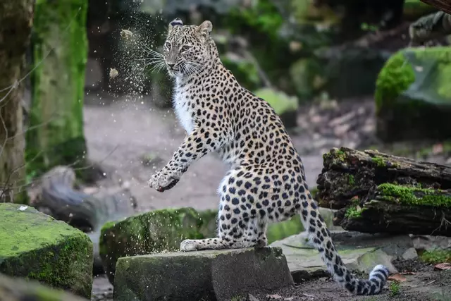 Foto: Marcel Vogelfänger