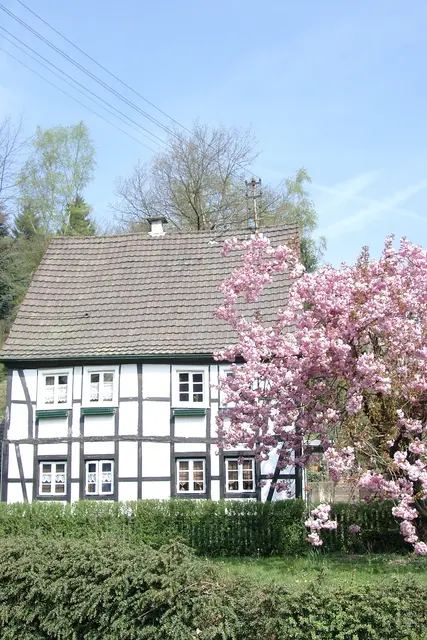 Foto: Christel Franke