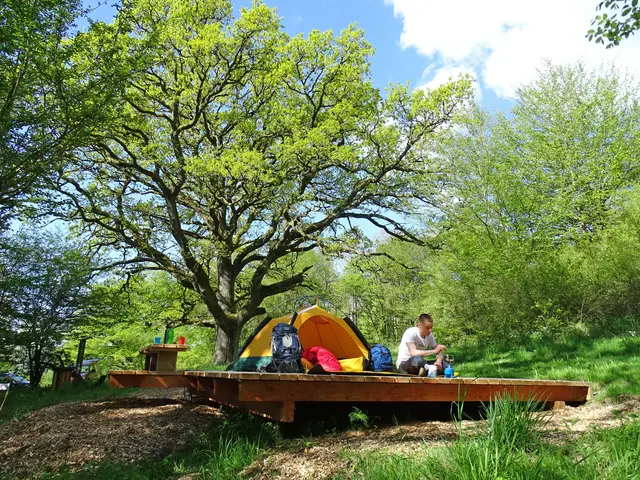 Die Trekkingplätze am Habichtswaldsteig bieten Wanderern eine Extraportion Freiheit und Abenteuer. Foto: DJD/ Naturpark Habichtswald/Jürgen Depenbrock