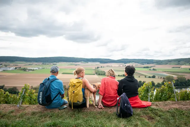 Rund um Karlstadt zeigt sich das Fränkische Weinland besonders idyllisch, im Vordergrund ist die Lebensader der Region, der Main, zu sehen. Foto: DJD/Stadt Karlstadt/Atelier ZUDEM