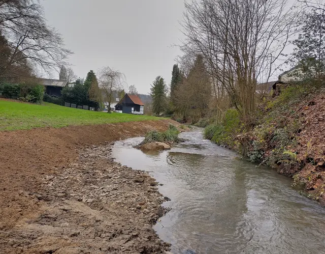 Aufweitung am Murbach. Foto: Stabsstelle Information, Medien und Öffentlichkeitsarbeit