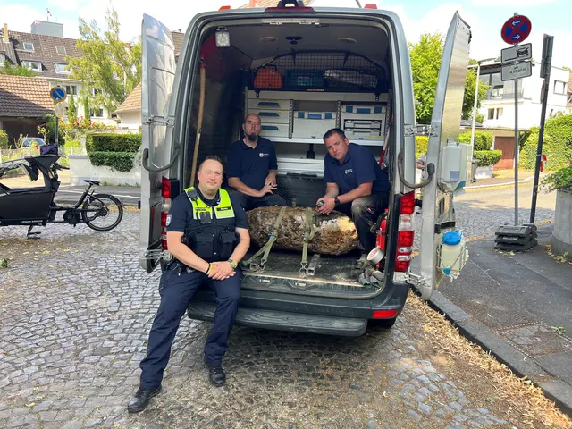 (v.l.): Johannes Brauns (Ordnungsamt der Stadt Köln), Markus Schmitz und Martin Bartels (beide vom Kampfmittelbeseitigungsdienst Rheinland der Bezirksregierung Düsseldorf) mit dem entschärften Blindgänger. Oben mittig (auf der Bombe) haben die Experten fürs Foto den Zünder abgestellt. | Foto: Stadt Köln