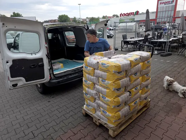 Das ist Herr Bergheim, Mitarbeiter des Tierheims Bergheim, mit der Spende Katzenstreu. Rechts daneben die "Bergheimerinnen" Trixie &amp; Bine. | Foto: Heinz Könen