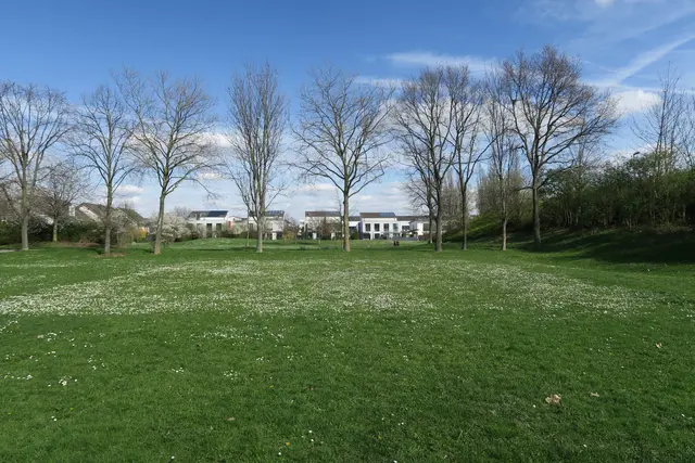 Gut fürs Klima und fürs Gemüt: Die Stadtverschönerungsmittel sollen zum Teil für neue Baumpflanzungen im Bezirk verwendet werden. | Foto: Hermans 
