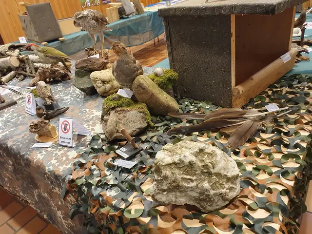 Teilbereich der Ausstellung 2024 | Foto: Renate Könen, Tierfreunde Rhein-Erft