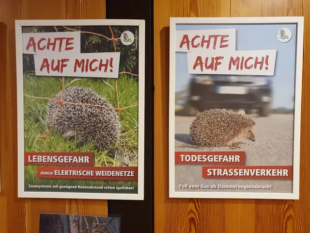 Gefahren für Igel | Foto: Renate Könen, Tierfreunde Rhein-Erft