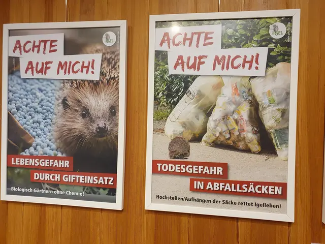 Gefahren für Igel | Foto: Renate Könen, Tierfreunde Rhein-Erft