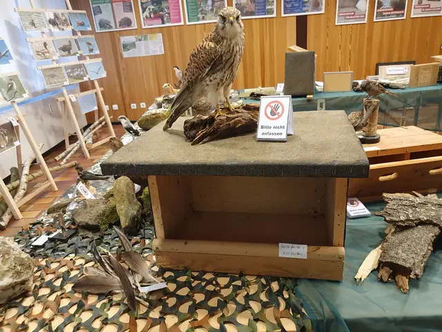 Teilbereich der Ausstellung 2024 | Foto: Renate Könen, Tierfreunde Rhein-Erft