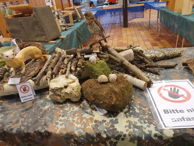 Teilbereich der Ausstellung 2024 | Foto: Renate Könen, Tierfreunde Rhein-Erft