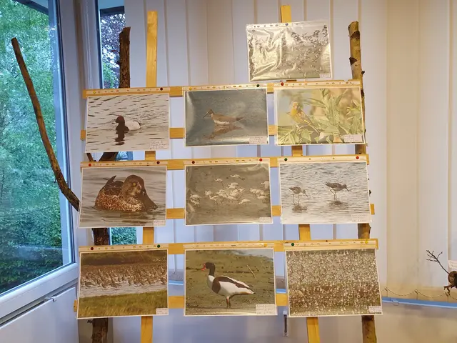 Teilbereich der Ausstellung 2024 | Foto: Renate Könen, Tierfreunde Rhein-Erft