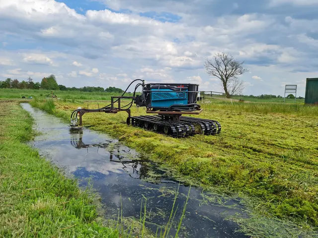 Paludikultur bezeichnet die land- und forstwirtschaftliche Nutzung nasser oder wiedervernässter Moorböden. Im Bild: die Torfmoos-Ernte mit Kettensägenschnitt. Foto: DJD/ww.fnr.de