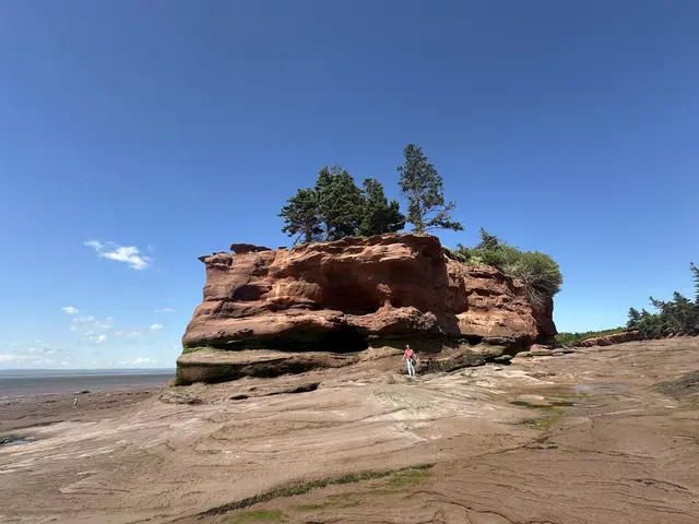 Burntcoat Head, Nova Scotia | Foto: Martina Schäfer, Bad Honnef-Orscheid