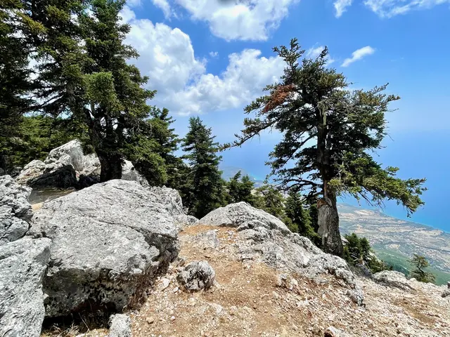 Der größte Teil des Aenos-Gebirges ist als Nationalpark ausgewiesen und mit Griechischer Tanne (Abies cephalonica) und Schwarzkiefer bedeckt. Es beherbergt Griechenlands ersten "Dark Sky Park“, was den höchsten Berg der Ionischen Inseln zu einem idealen Ort zur Sternen-Beobachtung macht.
 | Foto: Daniel Basler