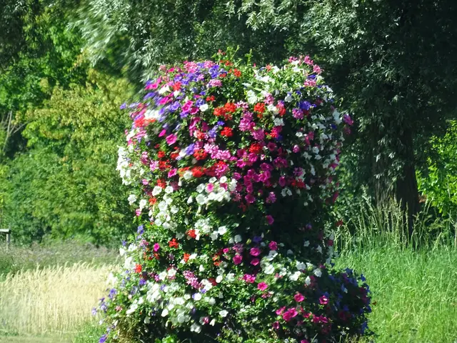 Blumen | Foto: Bildrechte: Stefania Herod