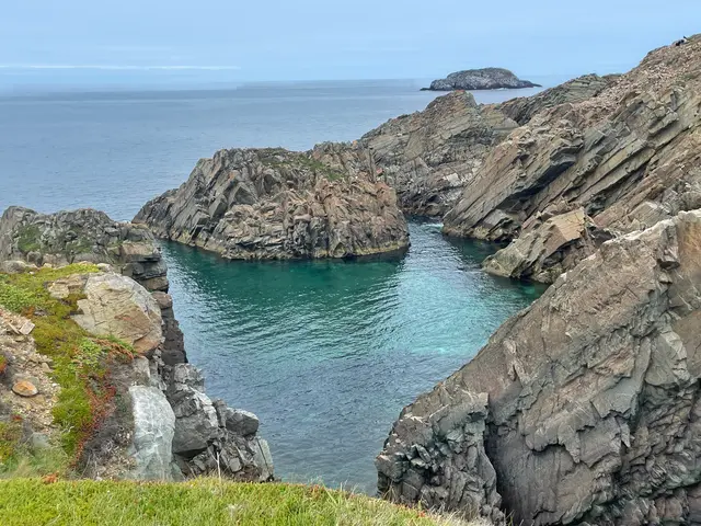 Spillars Cove, Neufundland | Foto: Martina Schäfer, Bad Honnef-Orscheid