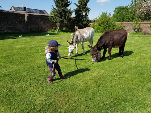 Wer zieht wen? | Foto: Privat