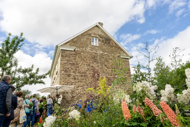 Bunte Blumenpracht und Pflanzenverkauf vor der historischen Dorfschule beim Bauernmarkt. | Foto: Frederik Grundmeier/LVR-FML