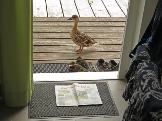 „Grüße von der Insel Helgoland“ und tolle Fotos sendet uns Familie Weyland aus Niederseßmar. Sie schwärmt von „Meeresrauschen und Möwengeschrei“. | Foto: Weyland