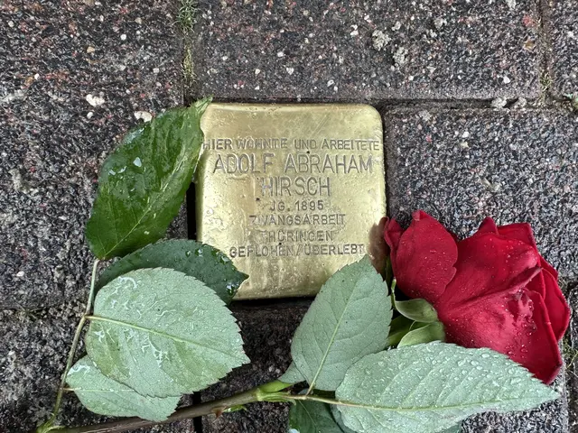 Foto: Stadt Elsdorf, Kulturabteilung