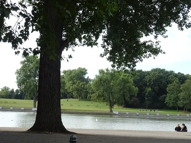 Herbst am Wasser | Foto: Bildrechte: Stefania Herod