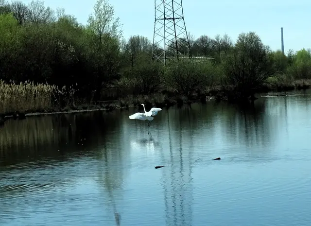 Herbst Storchenballett | Foto: Bildrechte: Stefania Herod