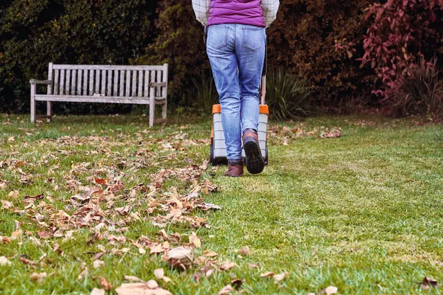 Das Laub muss weg, damit der Rasen auch im Winter gut belüftet wird und Krankheiten wie Fäulnis oder Schimmelbefall verhindert werden. Zudem benötigt das Grün vor der kalten Jahreszeit noch eine letzte Mahd sowie eine angepasste Herbstdüngung. Foto: DJD/Andreas Stihl