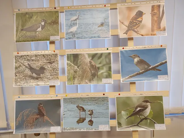 Heimische Vogelarten | Foto: Renate Könen