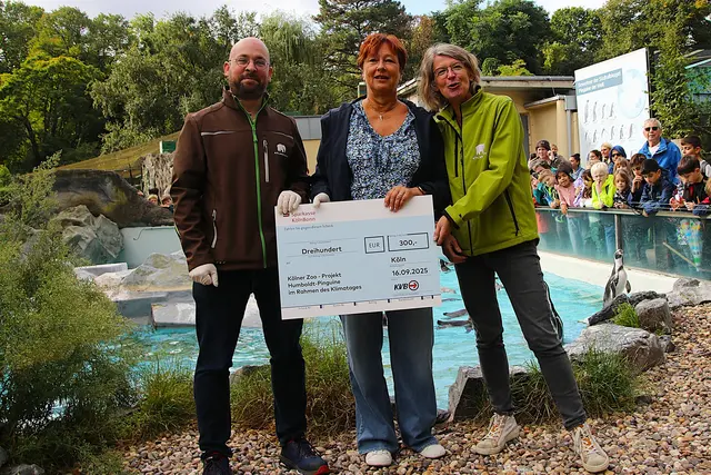 KVB-Projektleiterin Marion Densborn (Mitte) überreichte einen Scheck zum Schutz der Humboldt-Pinguine an Robin Lammers und Ruth Dieckmann (beide Kölner Zoo). | Foto: Stephan Anemüller / KVB