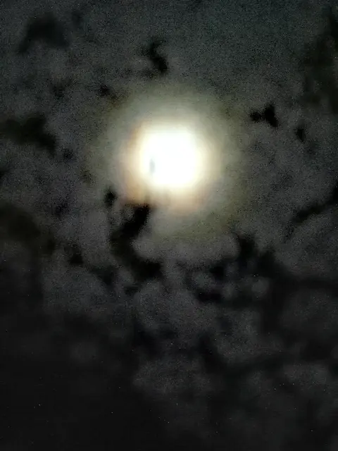 Hell strahlt der Vollmond.  | Foto: Heike Löhrer