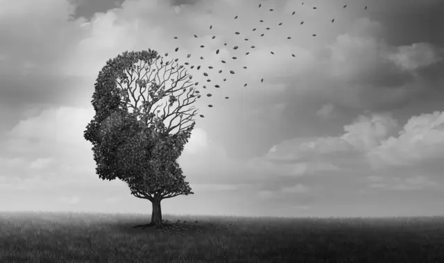 Foto: freshidea - stock.adobe.com