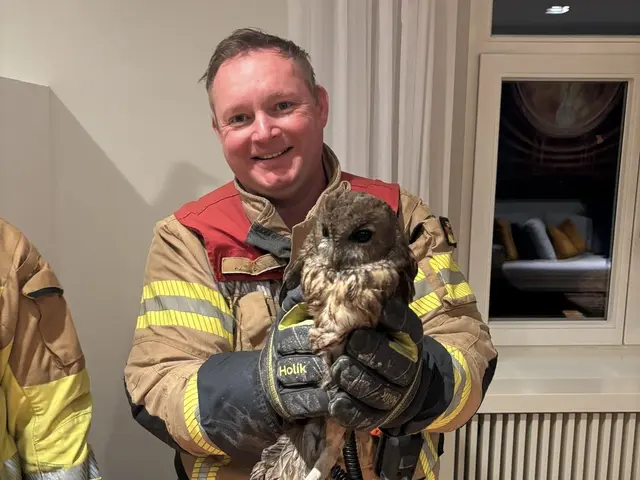 Glückliches Ende eines ungewöhnlichen Feuerwehreinsatzes. Foto: Feuerwehr BGL