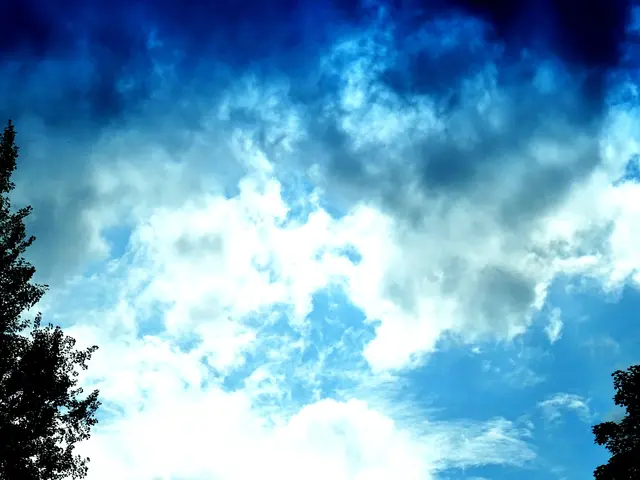 Himmel, aufgeregt | Foto: Bildrechte: Stefania Herod