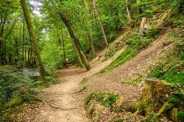 Zwischen Schöllerhof und Märchenwald | Foto: Elke Bitzer