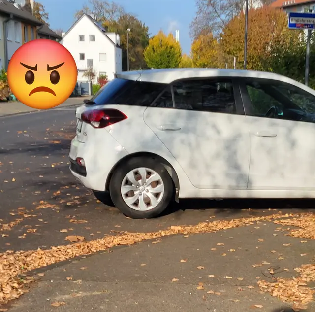 Schulkinder und alte Menschen, bitte umrunden oder Straßenseite wechseln | Foto: Elke B.