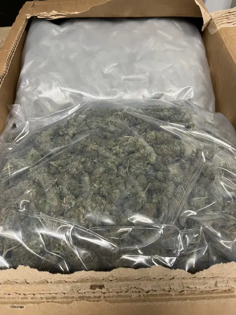 Der Zoll in Köln hatte die Drogenlieferung entdeckt, die nach Elsdorf geschickt wurde. | Foto: Polizei Rhein-Erft-Kreis